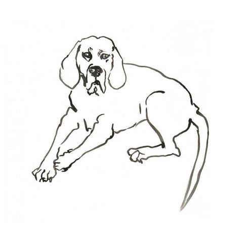 WAG: The Dog III White Modern Wood Framed Art Print by Binder, Vanessa