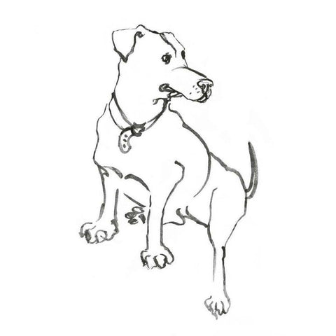 WAG: The Dog IV White Modern Wood Framed Art Print by Binder, Vanessa