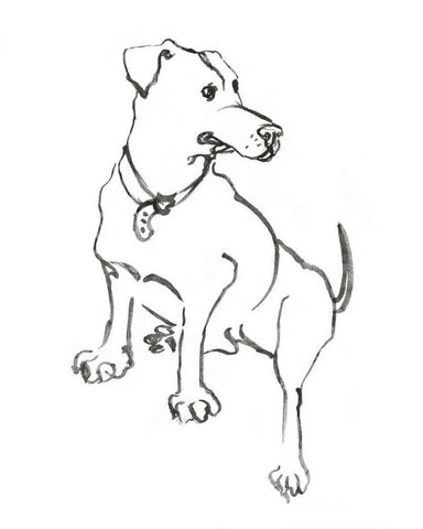 WAG: The Dog IV White Modern Wood Framed Art Print with Double Matting by Binder, Vanessa