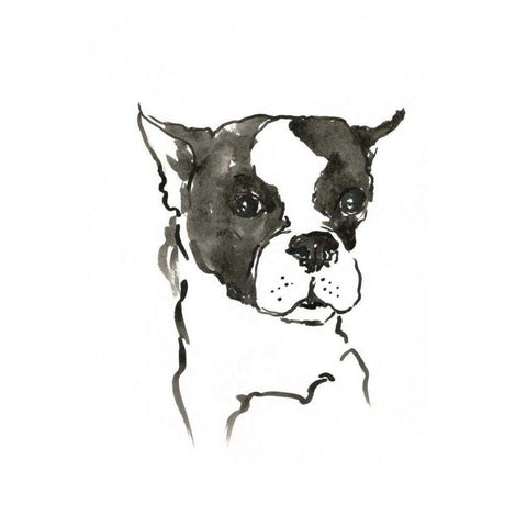 WAG: The Dog V Black Modern Wood Framed Art Print by Binder, Vanessa