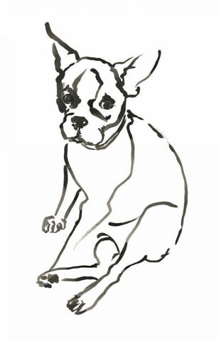 WAG: The Dog VI Black Ornate Wood Framed Art Print with Double Matting by Binder, Vanessa