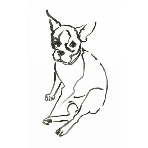 WAG: The Dog VI Black Modern Wood Framed Art Print by Binder, Vanessa