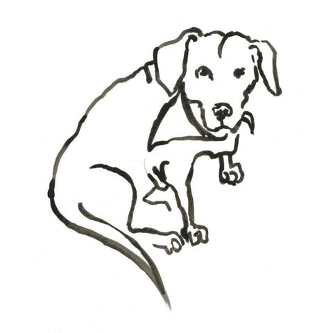 WAG: The Dog VII White Modern Wood Framed Art Print with Double Matting by Binder, Vanessa