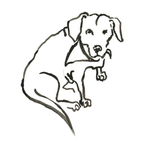 WAG: The Dog VII Black Modern Wood Framed Art Print by Binder, Vanessa