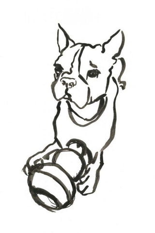 WAG: The Dog IX White Modern Wood Framed Art Print with Double Matting by Binder, Vanessa