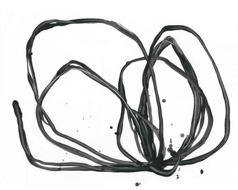 Twine Bundle I Black Ornate Wood Framed Art Print with Double Matting by Vess, June Erica