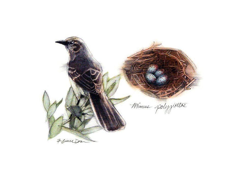 Bird and Nest Study I Black Ornate Wood Framed Art Print with Double Matting by Dean, Bruce