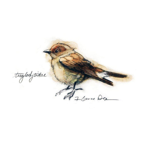 Songbird Study I Black Ornate Wood Framed Art Print with Double Matting by Dean, Bruce