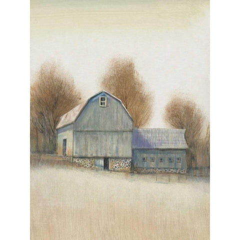 Barn Side I Gold Ornate Wood Framed Art Print with Double Matting by OToole, Tim