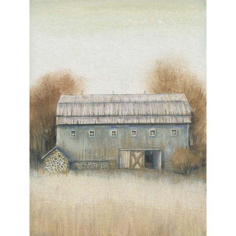 Barn Side II Gold Ornate Wood Framed Art Print with Double Matting by OToole, Tim