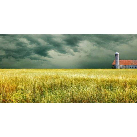 Yellow Field White Modern Wood Framed Art Print by McLoughlin, James