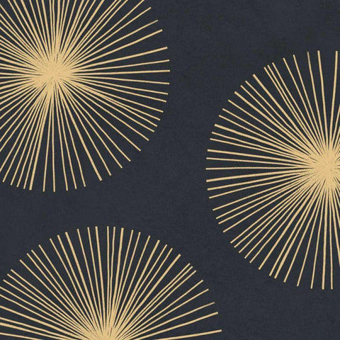 Bursts I Black Ornate Wood Framed Art Print with Double Matting by Caroline, Emma