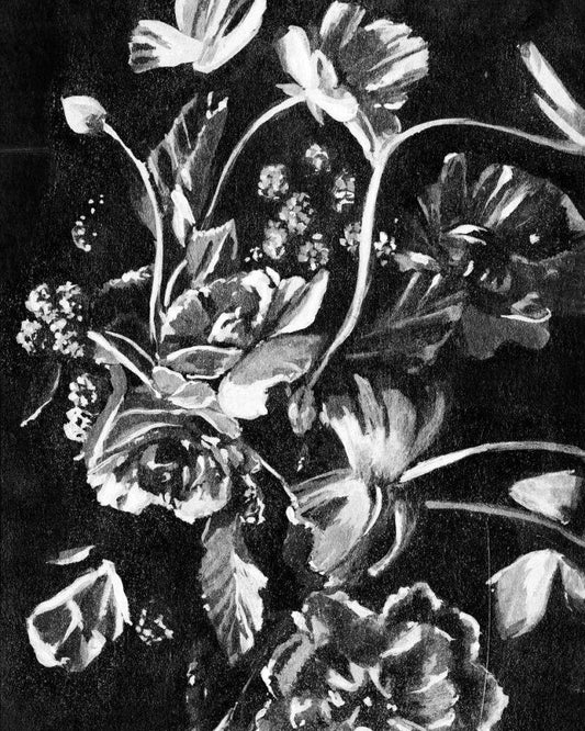 Image Only