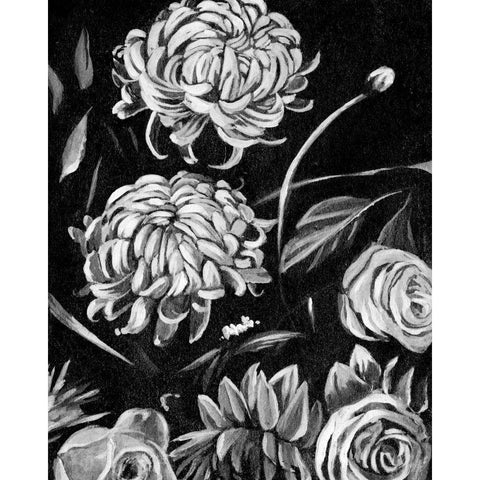 Enchanted Bloom II Black Modern Wood Framed Art Print by Warren, Annie