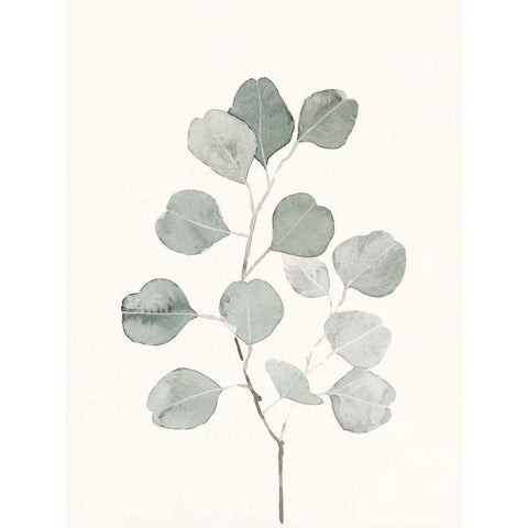 Delicate Sage Botanical I White Modern Wood Framed Art Print by Caroline, Emma