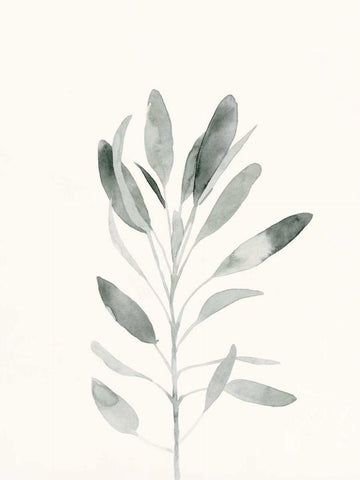Delicate Sage Botanical II Black Ornate Wood Framed Art Print with Double Matting by Caroline, Emma