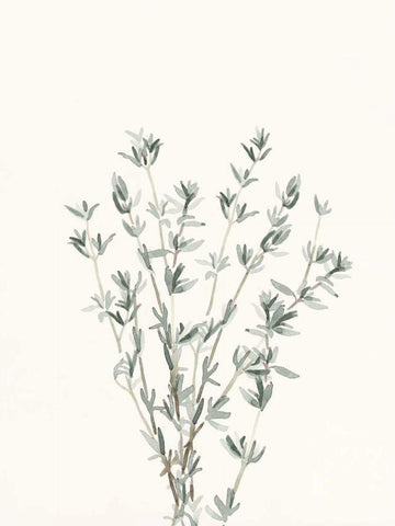 Delicate Sage Botanical III White Modern Wood Framed Art Print with Double Matting by Caroline, Emma