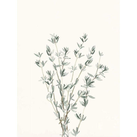 Delicate Sage Botanical III Gold Ornate Wood Framed Art Print with Double Matting by Caroline, Emma