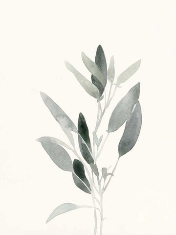 Delicate Sage Botanical IV White Modern Wood Framed Art Print with Double Matting by Caroline, Emma