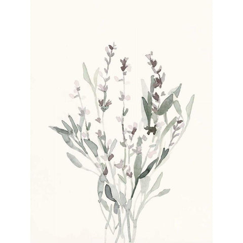 Delicate Sage Botanical V Gold Ornate Wood Framed Art Print with Double Matting by Caroline, Emma