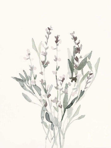 Delicate Sage Botanical V White Modern Wood Framed Art Print with Double Matting by Caroline, Emma