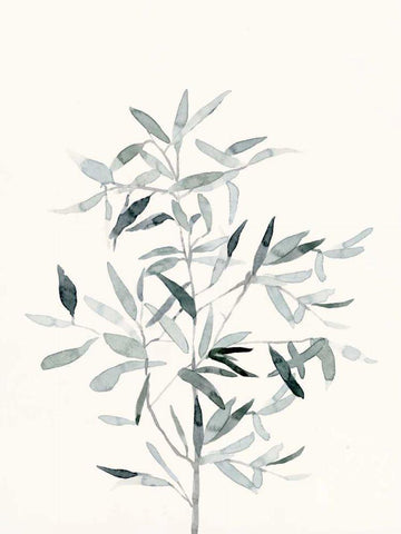 Delicate Sage Botanical VI Black Ornate Wood Framed Art Print with Double Matting by Caroline, Emma