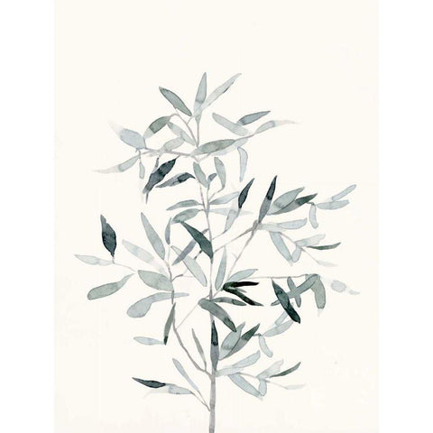 Delicate Sage Botanical VI White Modern Wood Framed Art Print by Caroline, Emma