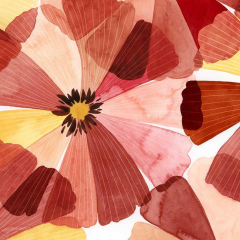 Elementary Flora I Black Ornate Wood Framed Art Print with Double Matting by Popp, Grace