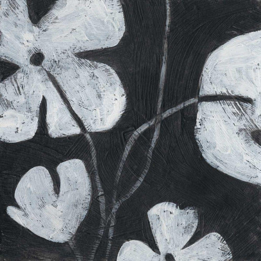 Image Only