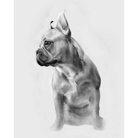 Pug Portrait II Gold Ornate Wood Framed Art Print with Double Matting by Caroline, Emma