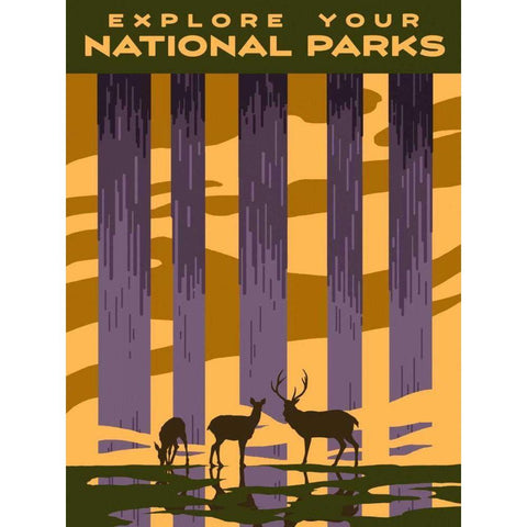 American Wayfarer II Black Modern Wood Framed Art Print with Double Matting by Green, Jacob
