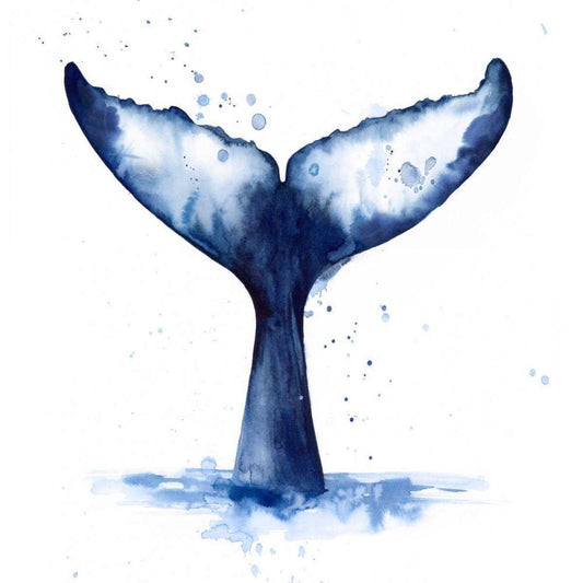 Image Only