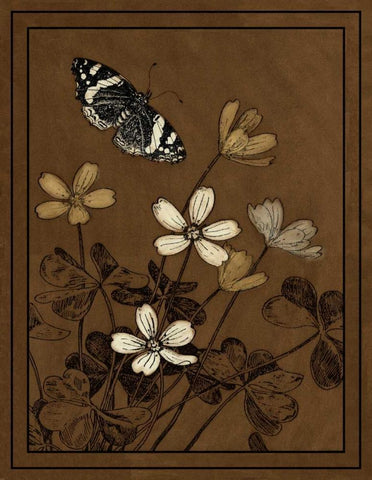 Gilded Blossom II Black Ornate Wood Framed Art Print with Double Matting by Vision Studio