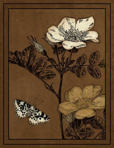 Gilded Blossom IV White Modern Wood Framed Art Print with Double Matting by Vision Studio