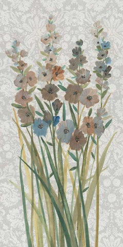 Patch of Wildflowers III Black Ornate Wood Framed Art Print with Double Matting by OToole, Tim