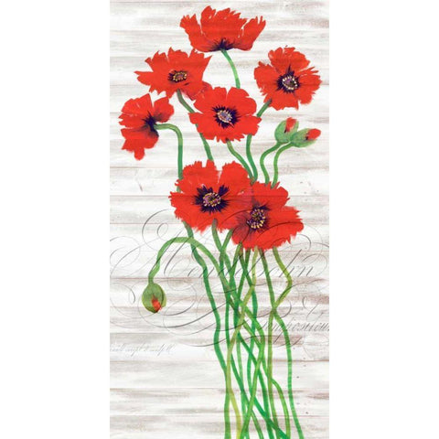 Red Poppy Panel I White Modern Wood Framed Art Print by OToole, Tim