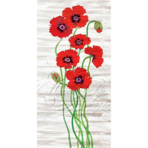 Red Poppy Panel II Black Modern Wood Framed Art Print with Double Matting by OToole, Tim