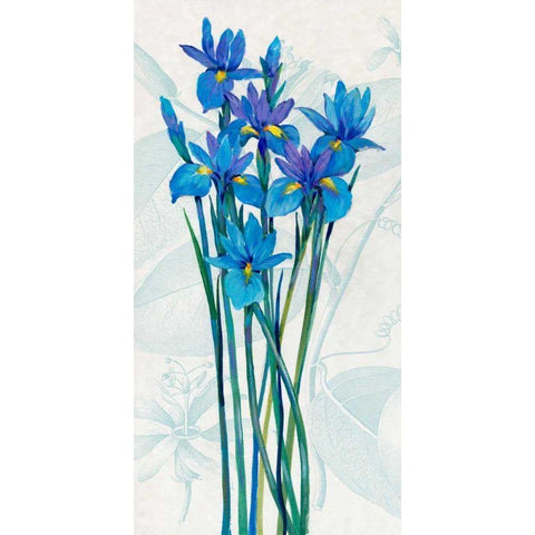 Blue Iris Panel I Black Modern Wood Framed Art Print by OToole, Tim