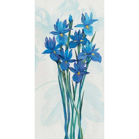 Blue Iris Panel II White Modern Wood Framed Art Print by OToole, Tim