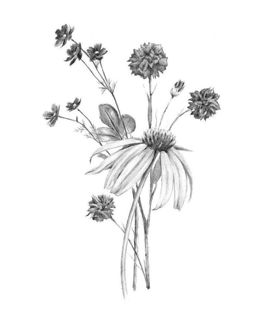 Image Only