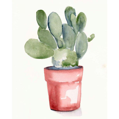 Potted Succulent I Black Modern Wood Framed Art Print with Double Matting by Parker, Jennifer Paxton