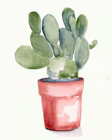 Potted Succulent I White Modern Wood Framed Art Print with Double Matting by Parker, Jennifer Paxton