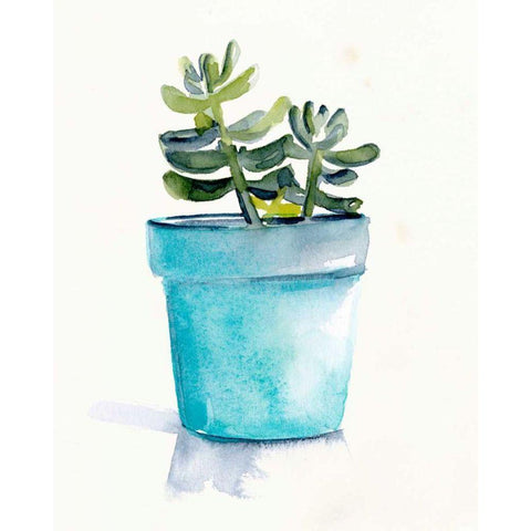 Potted Succulent II White Modern Wood Framed Art Print by Parker, Jennifer Paxton