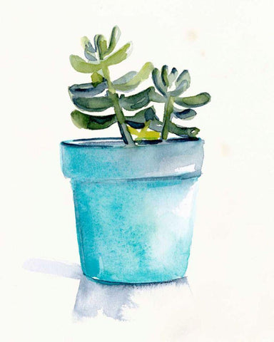 Potted Succulent II White Modern Wood Framed Art Print with Double Matting by Parker, Jennifer Paxton