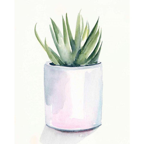 Potted Succulent III Black Modern Wood Framed Art Print with Double Matting by Parker, Jennifer Paxton