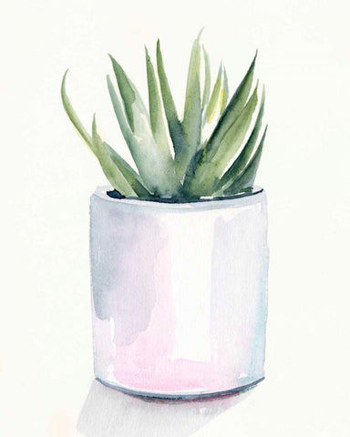 Potted Succulent III White Modern Wood Framed Art Print with Double Matting by Parker, Jennifer Paxton