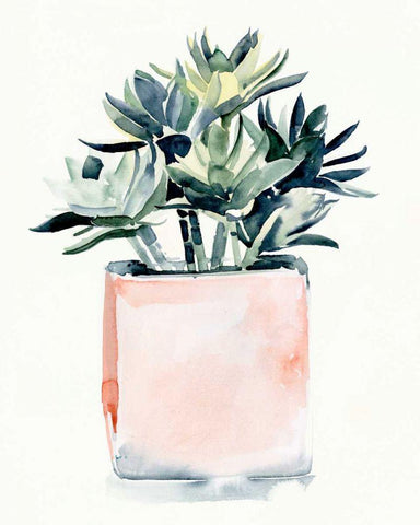 Potted Succulent IV White Modern Wood Framed Art Print with Double Matting by Parker, Jennifer Paxton