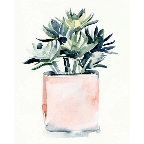 Potted Succulent IV Black Modern Wood Framed Art Print with Double Matting by Parker, Jennifer Paxton