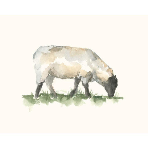 Grazing Farm Animal III Gold Ornate Wood Framed Art Print with Double Matting by Harper, Ethan