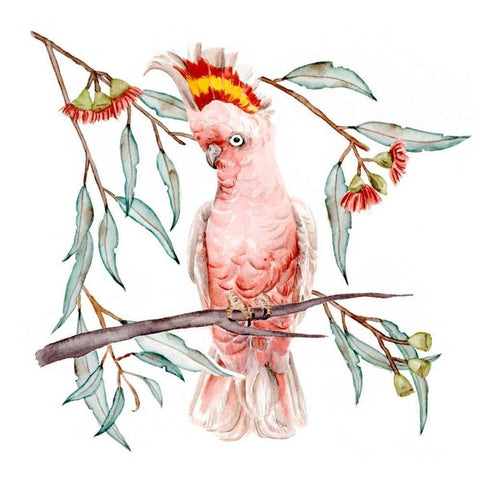 Pink Cockatoo I White Modern Wood Framed Art Print by Wang, Melissa